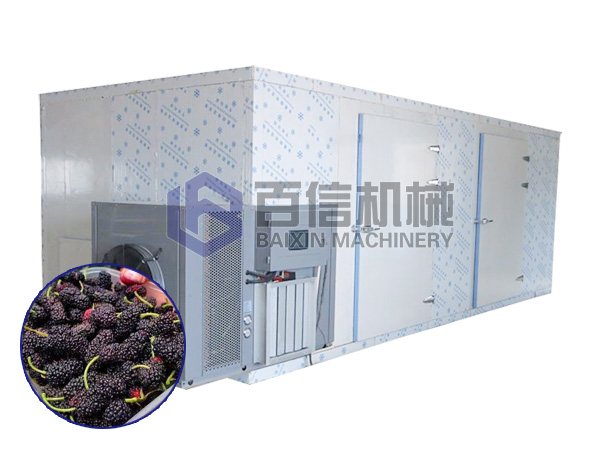 桑葚烘干机